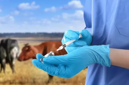 El MAPA abre diálogo con veterinarios y farmacéuticos para mejorar la aplicación del sistema Presvet