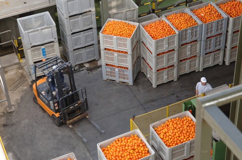 Unión de Uniones reclama más controles para evitar la presencia de materias activas prohibidas en Europa en alimentos importados