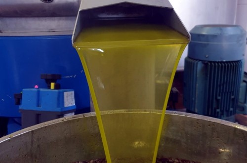 Las salidas de aceite de oliva al mercado se moderaron hasta 93.350 t en junio