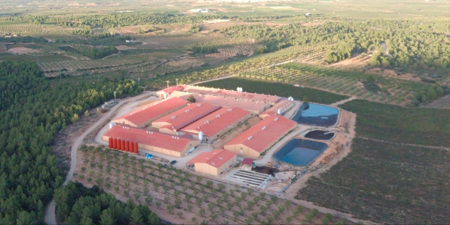 De residuos a recursos: cómo la economía circular está redefiniendo el sector porcino. Por Julián Redondo.