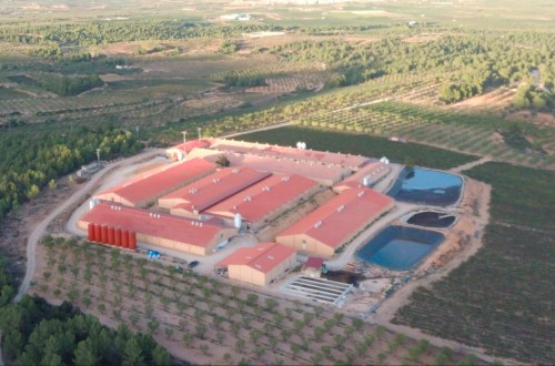 De residuos a recursos: cómo la economía circular está redefiniendo el sector porcino. Por Julián Redondo.