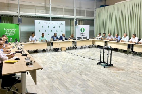 Andalucía quiere constituir su propia Organización Interprofesional Citrícola autonómica