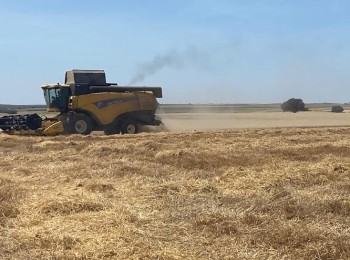 Asaja Valladolid exige precios justos para el cereal y el cumplimiento de la Ley de la Cadena Alimentaria