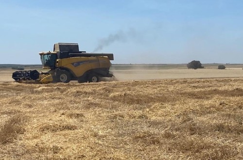 Asaja Valladolid exige precios justos para el cereal y el cumplimiento de la Ley de la Cadena Alimentaria