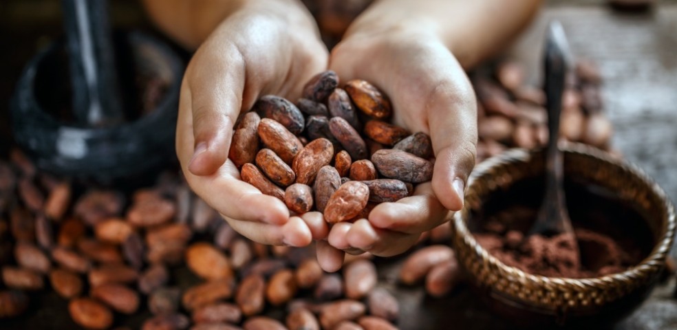 cacao