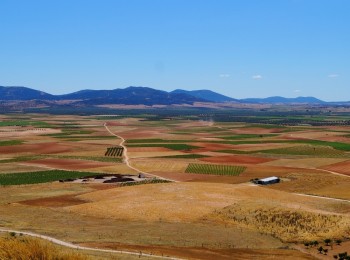 El Gobierno autoriza casi 40.000 euros a programas internacionales agrícolas, ganaderos y pesqueros de interés para España