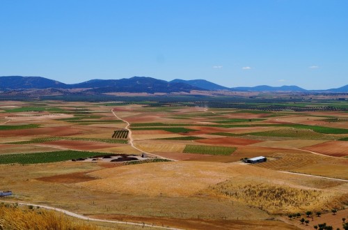 Otros 2.302 beneficiarios de ayudas extraordinarias por 4,9 M€ en cultivos de secano, arroz y tomate industrial