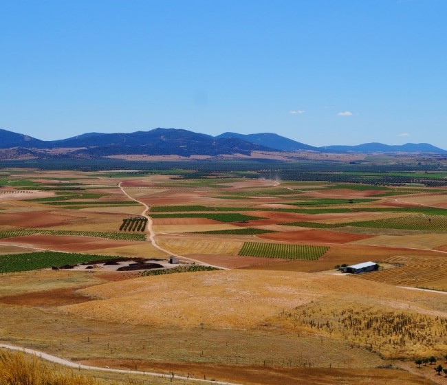 El Gobierno autoriza casi 40.000 euros a programas internacionales agrícolas, ganaderos y pesqueros de interés para España