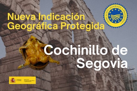 cochinillo_segovia_ue
