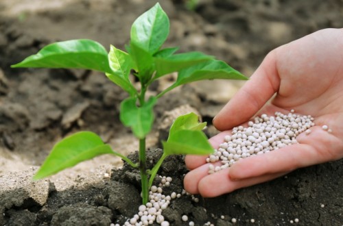El Parlamento Europeo aprueba imponer aranceles a productos agrícolas y fertilizantes de Rusia y Bielorrusia