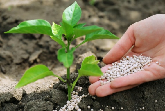 El Parlamento Europeo aprueba imponer aranceles a productos agrícolas y fertilizantes de Rusia y Bielorrusia