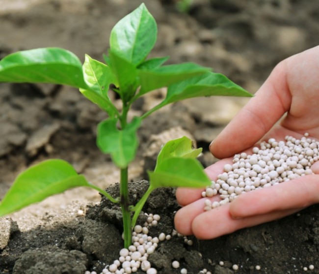 El Parlamento Europeo aprueba imponer aranceles a productos agrícolas y fertilizantes de Rusia y Bielorrusia