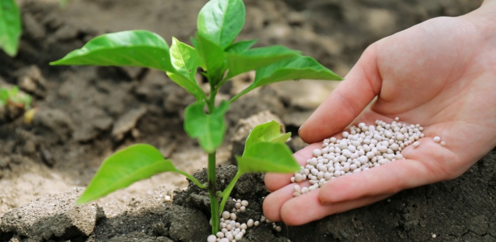 fertilizantes