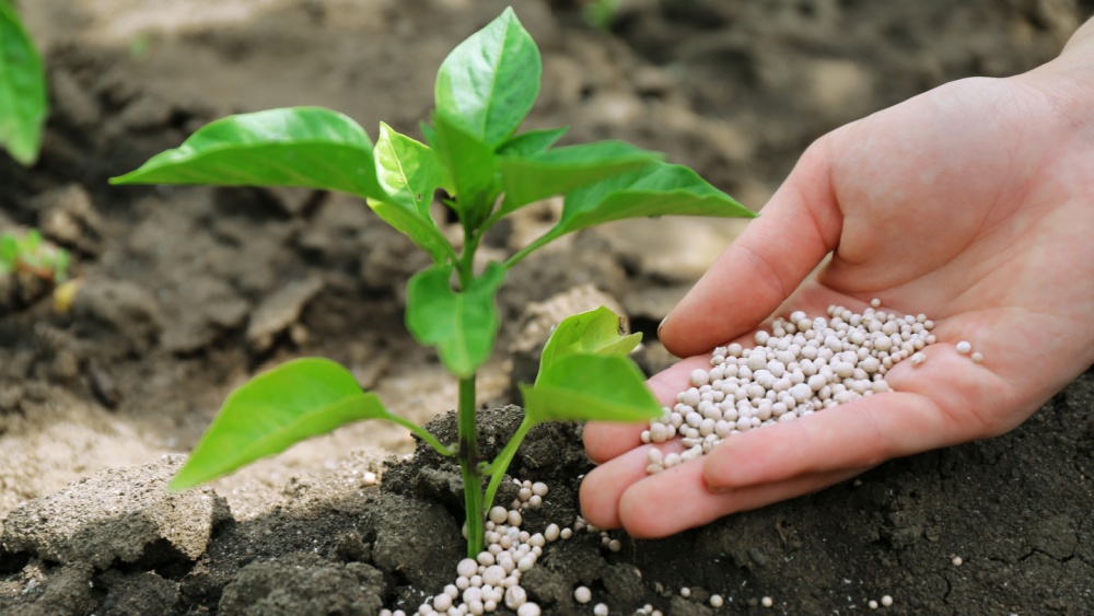 El uso de fertilizantes en la agricultura de la UE se redujo un 10% en 2022