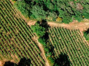 Las hipotecas sobre fincas rústicas suben un 1,1 % anual y mantienen su volumen mensual