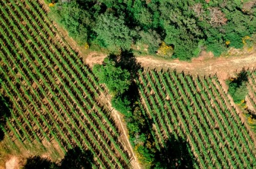 Las hipotecas sobre fincas rústicas suben un 1,1 % anual y mantienen su volumen mensual