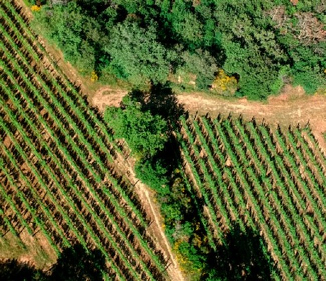 Las hipotecas sobre fincas rústicas suben un 1,1 % anual y mantienen su volumen mensual