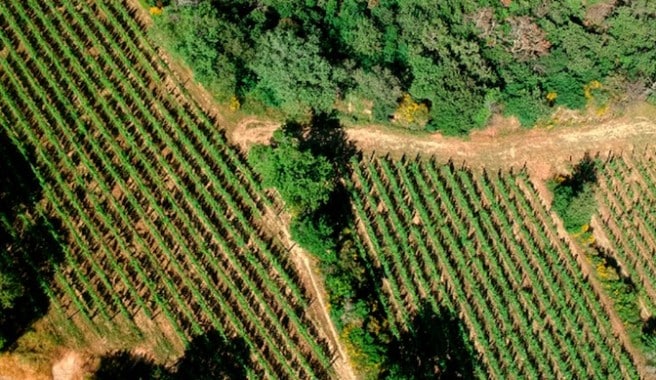 fincas_rusticas