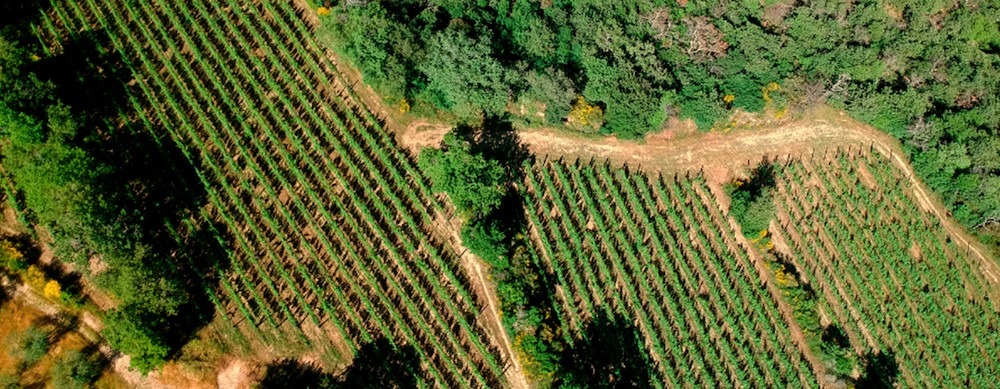 Las hipotecas sobre fincas rústicas suben un 1,1 % anual y mantienen su volumen mensual