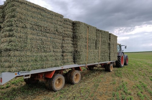España exportó 752.960 toneladas de forrajes deshidratados en 2024, según Cooperativas Agro-alimentarias