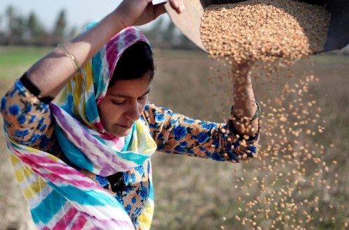 Las cifras del hambre se mantienen persistentemente altas durante tres años consecutivos: una de cada 11 personas en el mundo pasó hambre en 2023