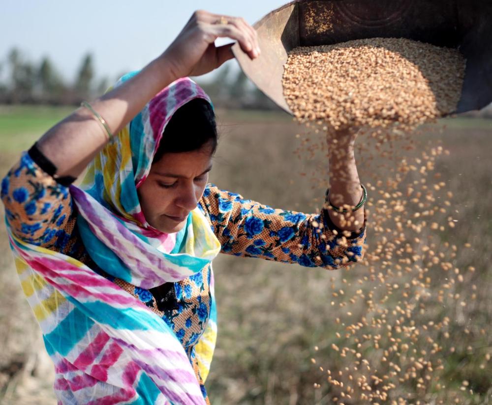 Las cifras del hambre se mantienen persistentemente altas durante tres años consecutivos: una de cada 11 personas en el mundo pasó hambre en 2023