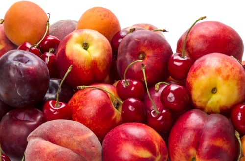 La solución integral de Bayer para combatir la monilia en frutales de hueso