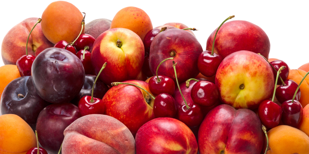 La solución integral de Bayer para combatir la monilia en frutales de hueso
