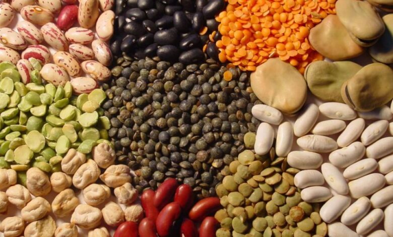 oleaginosas_proteaginosas