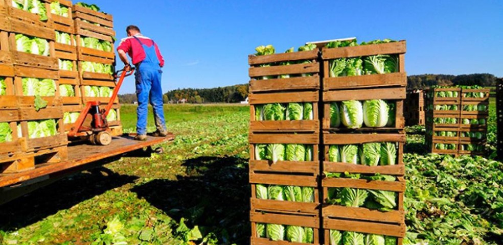 ue_observatorio_cadena_alimentaria