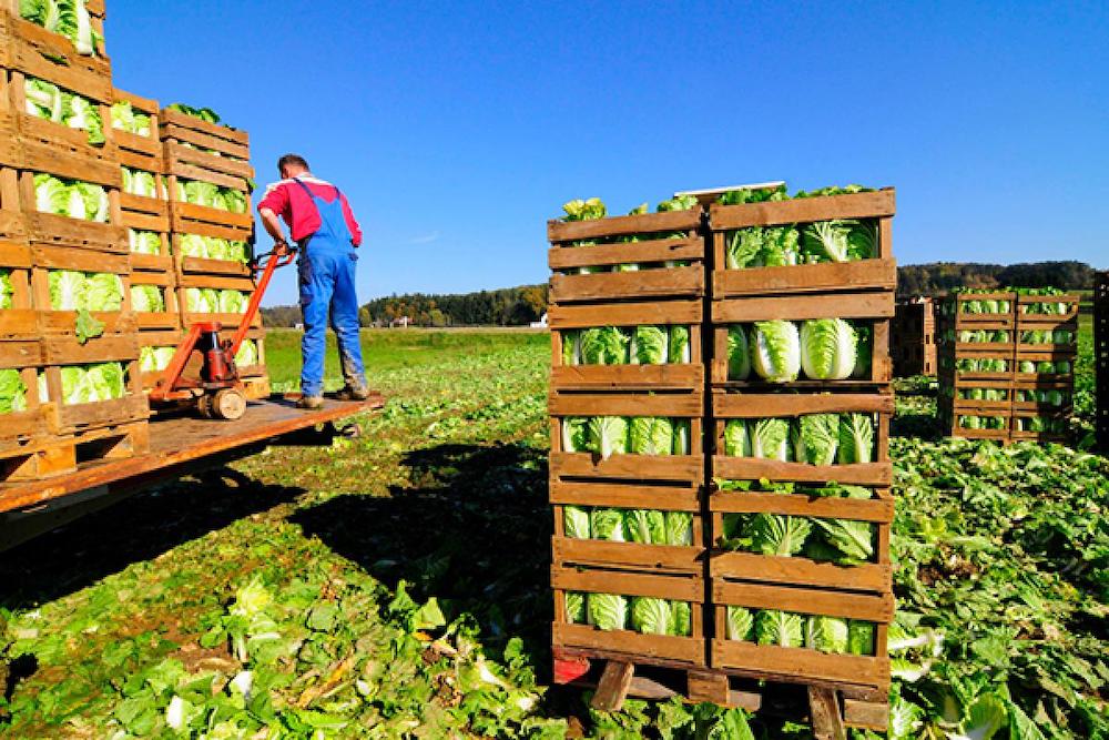 El observatorio europeo de la cadena agroalimentaria presenta en su primera reunión un mapeo inicial de datos disponibles