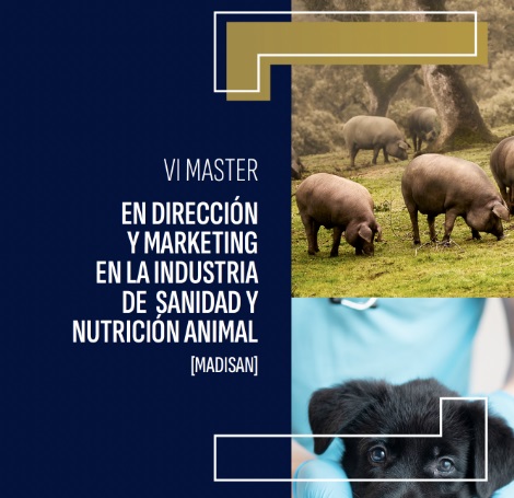 master vet+i
