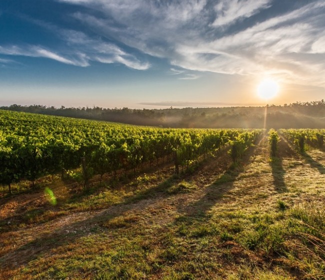 Los viticultores de Rioja refuerzan su apoyo a ARAG-Asaja