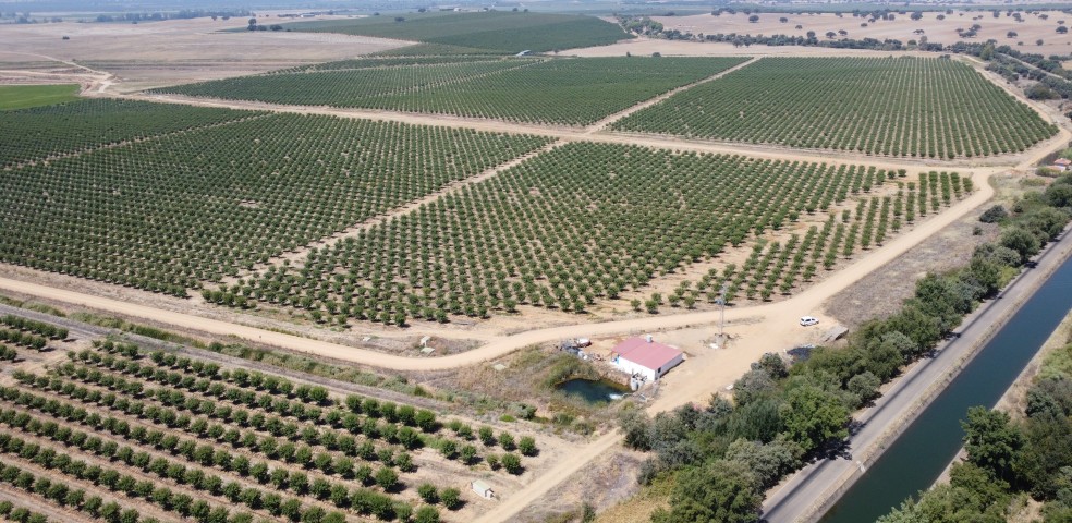 Agricultura