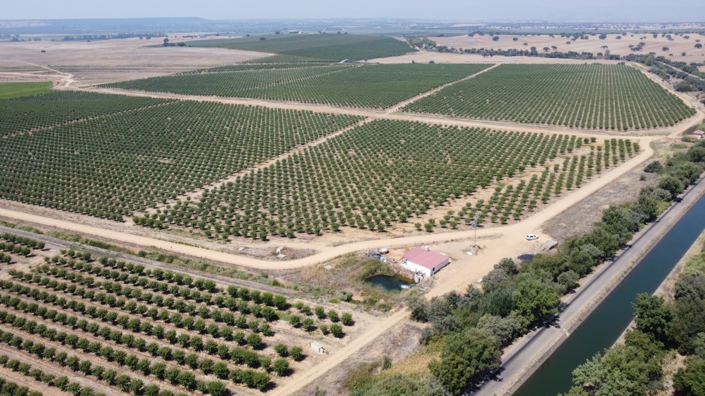 El PIB agrícola crece un 7,1 % en el primer trimestre de 2025