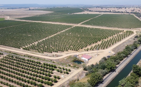 El PIB agrícola crece un 7,1 % en el primer trimestre de 2025