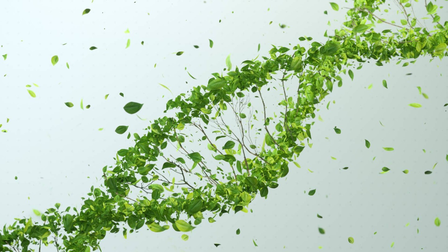 La tecnología del futuro sobre edición genética vegetal que ya tenemos disponible. Por Alicia Díaz (ANOVE)