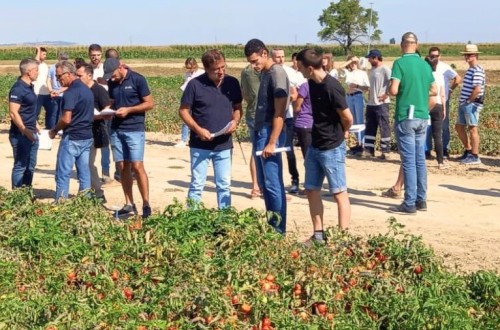 El INTIA celebra una jornada sobre hortícolas de verano el próximo 28 de agosto