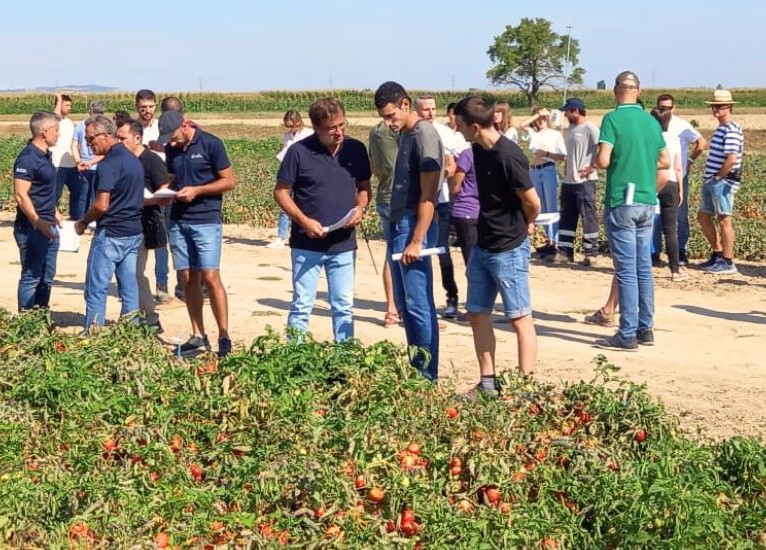El INTIA celebra una jornada sobre hortícolas de verano el próximo 28 de agosto