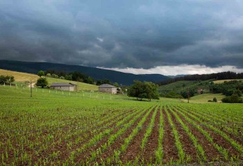 Asturias convoca ayudas por 1,5 millones para impulsar la innovación de la PAC
