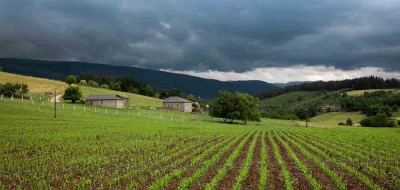 Asturias convoca ayudas por 1,5 millones para impulsar la innovación de la PAC