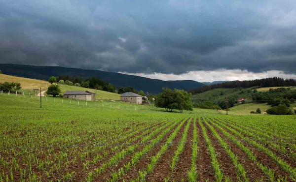 Asturias convoca ayudas por 1,5 millones para impulsar la innovación de la PAC