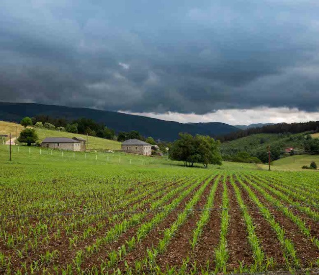 Asturias convoca ayudas por 1,5 millones para impulsar la innovación de la PAC