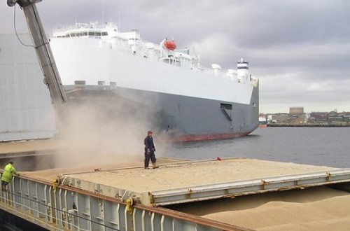 China acapara más de la mitad de las reservas mundiales de maíz y trigo