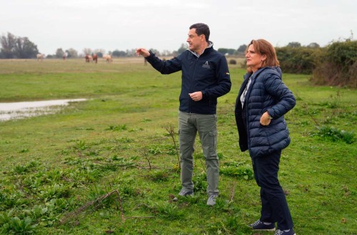 El BOE publica el RD 842/2024 de concesión de 70 M€ de ayudas directas para iniciativas locales de Doñana