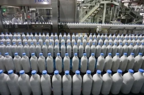 El Gobierno de Canarias abona 5,9 millones del primer pago semestral de las ayudas POSEI a 470 productores lácteos