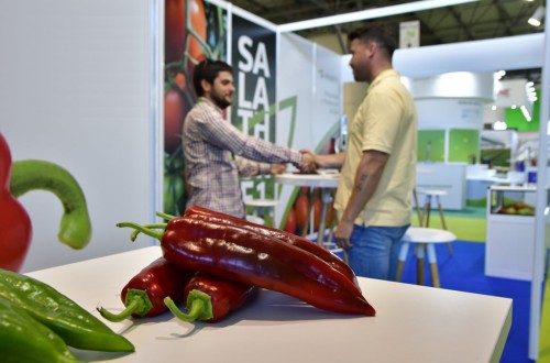 Infoagro Exhibition 2025: un 80% de la superficie expositiva contratada a ocho meses de la apertura de puertas
