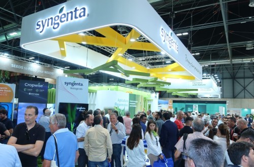 Syngenta acudirá a la próxima edición de Fruit Attraction con novedades en protección y mejora vegetal