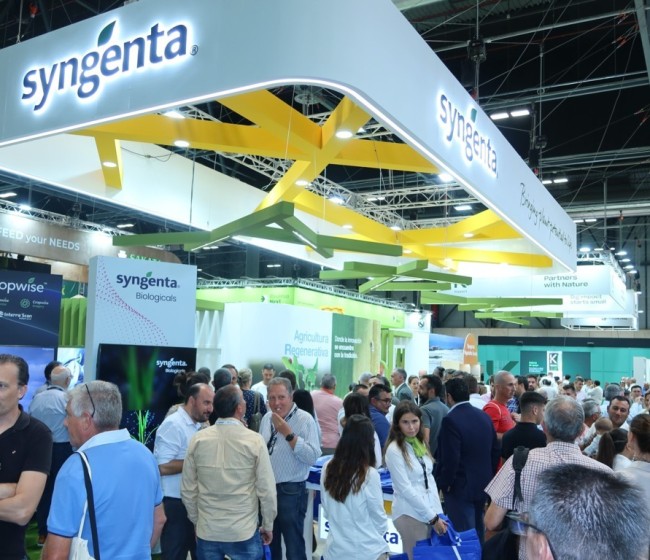 Syngenta presenta en Expoliva 2025 Quantis, un bioestimulante que promueve un escudo antiestrés en el olivar