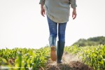 Los agricultores españoles recibieron 5.166 millones en pagos directos de octubre a agosto